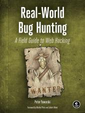 Real-World Bug Hunting